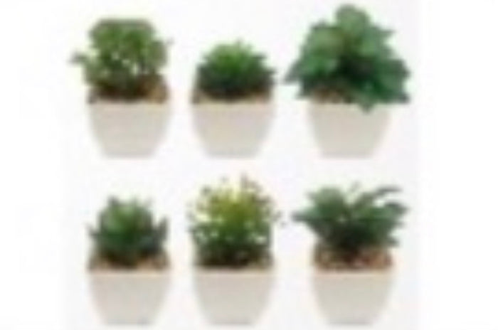 ARTIFICAL PLANTS