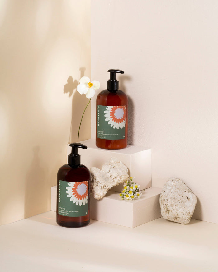 DANDYLION Soothe Gentle Cleansing Dog Shampoo