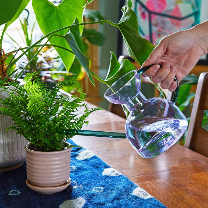 Glass Watering Can 32 fl.oz.