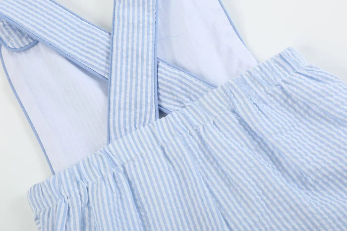 Lil Cactus Blue Seersucker Easter Bunny Shortalls