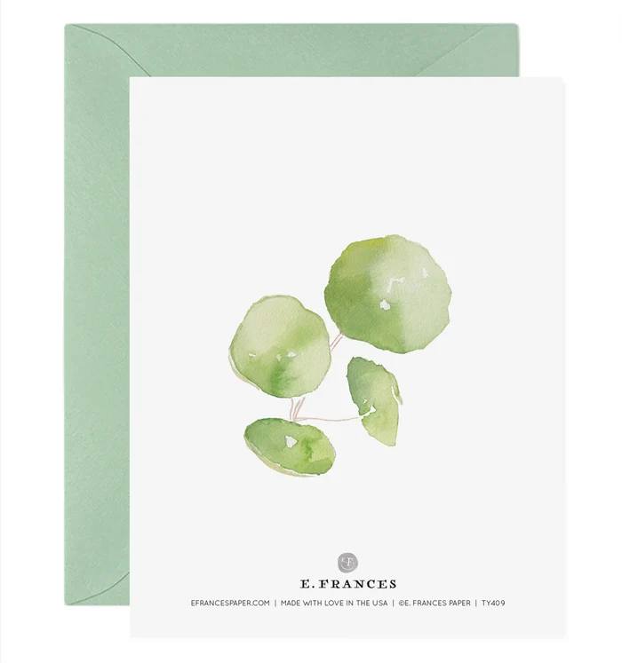 Pancake Plant Thank You - Box Set/6