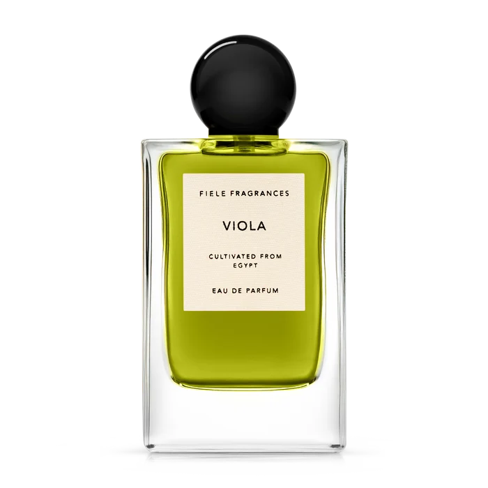 Viola