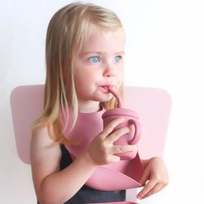 Baby bliss Silicone Bib - Dusty Rose