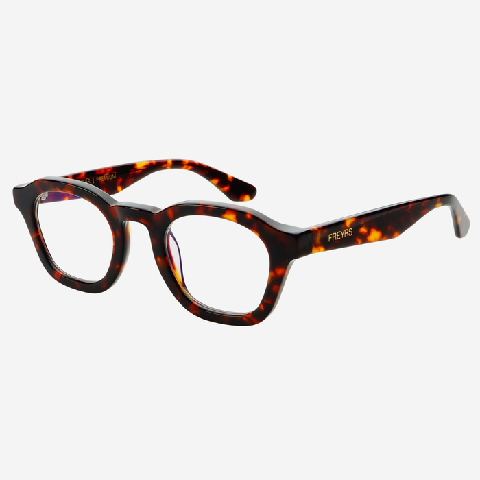 Blake Readers - Tortoise