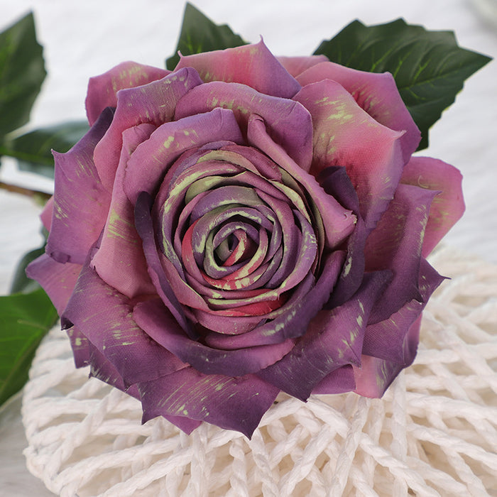 Gradient Dark Purple