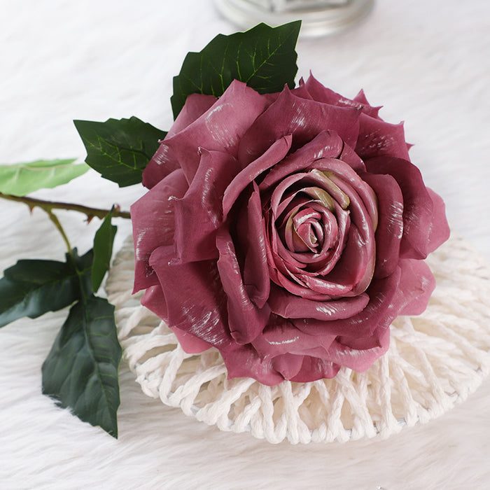 Gradient Dusty Rose