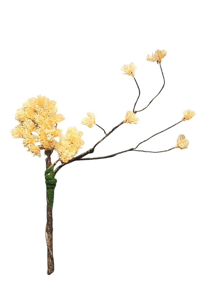 Bulk 5Pcs Curly Pine Branches Christmas Bonsai Crafts Plants Arrangements Wholesale