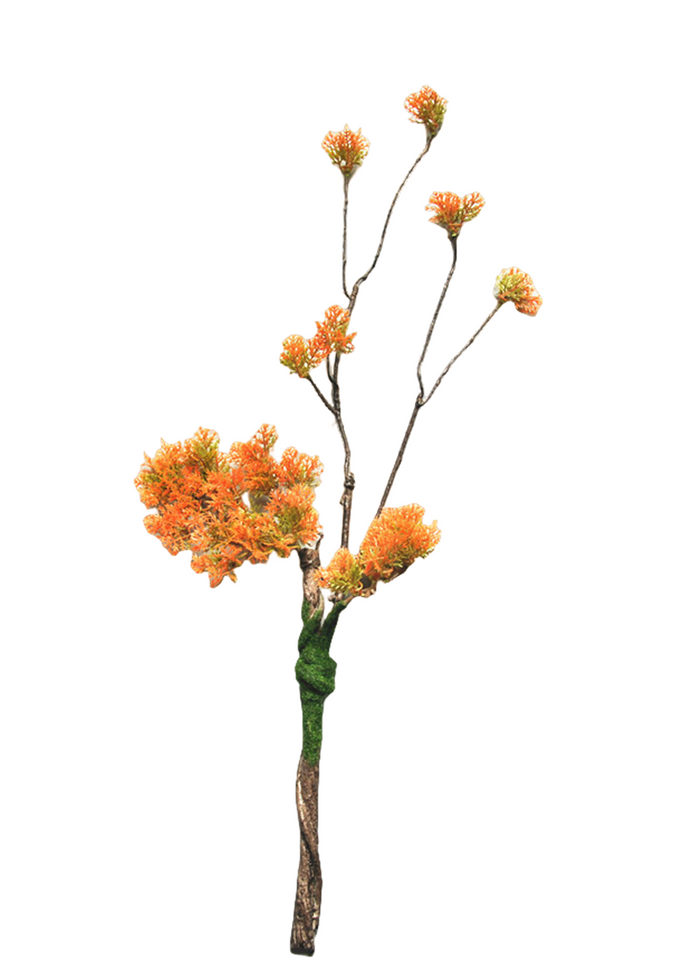 Bulk 5Pcs Curly Pine Branches Christmas Bonsai Crafts Plants Arrangements Wholesale