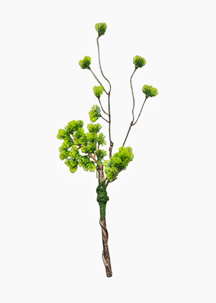 Bulk 5Pcs Curly Pine Branches Christmas Bonsai Crafts Plants Arrangements Wholesale