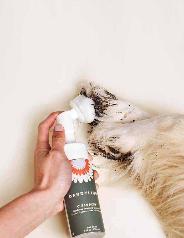 DANDYLION Clean Paws No-Rinse Foaming Cleanser