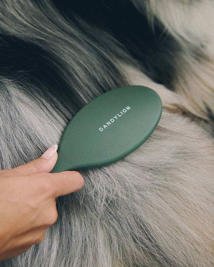 DANDYLION Daily Grooming Brush