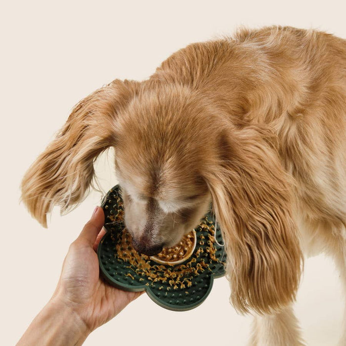 DANDYLION Lick Mat | Stress-Free Grooming Tool - Silicone