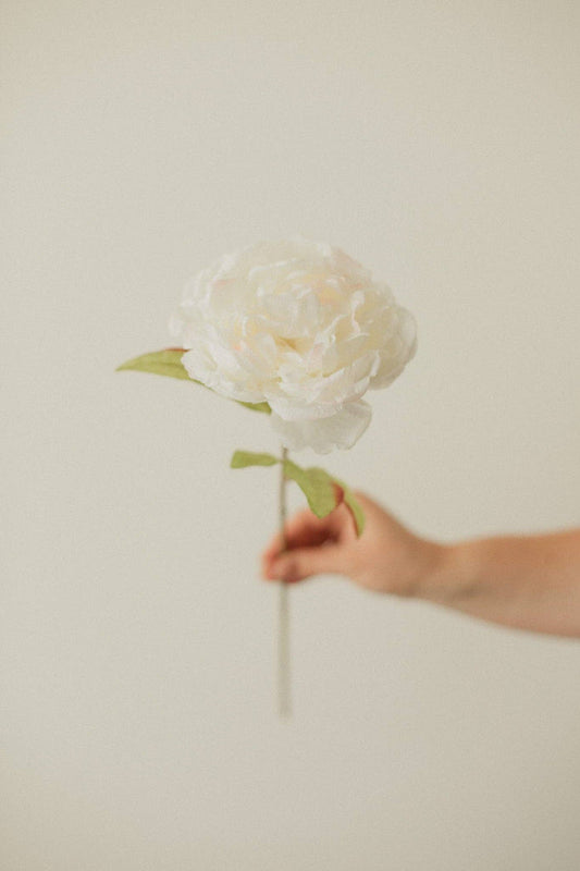 EUCALYPT Large Peony