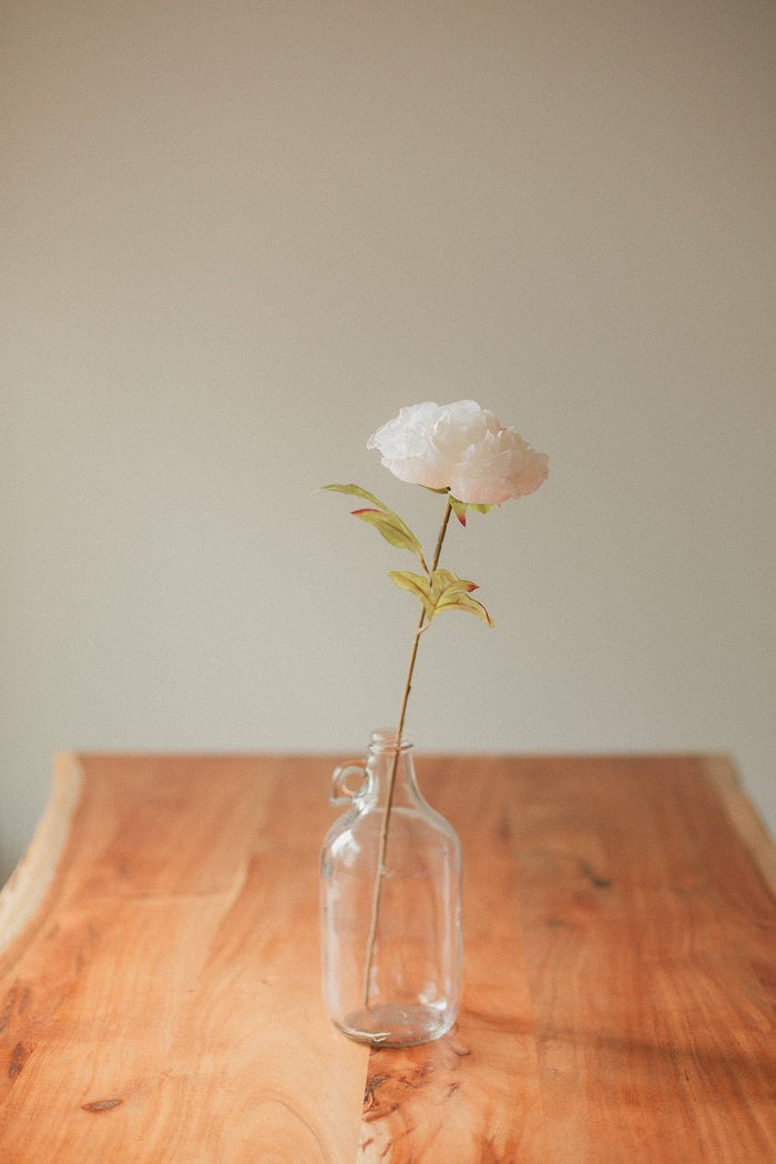 EUCALYPT Large Peony