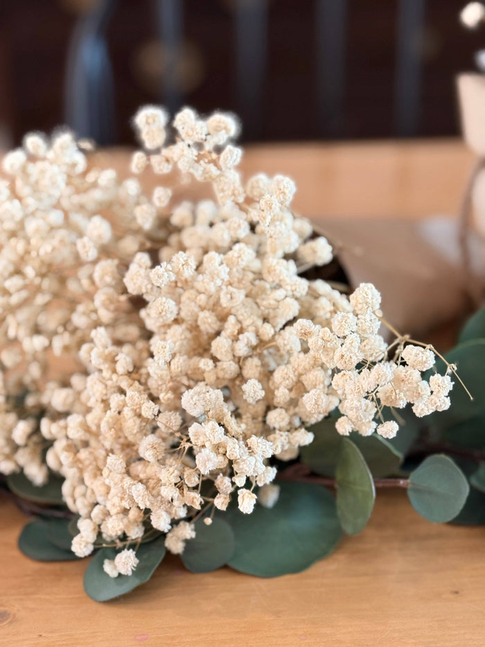 EUCALYPT Preserved Babies Breath Bundles