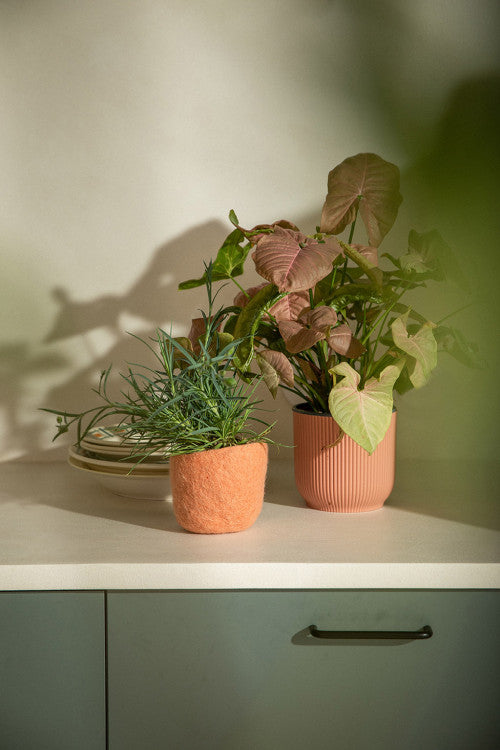 Felt Drop Bowl