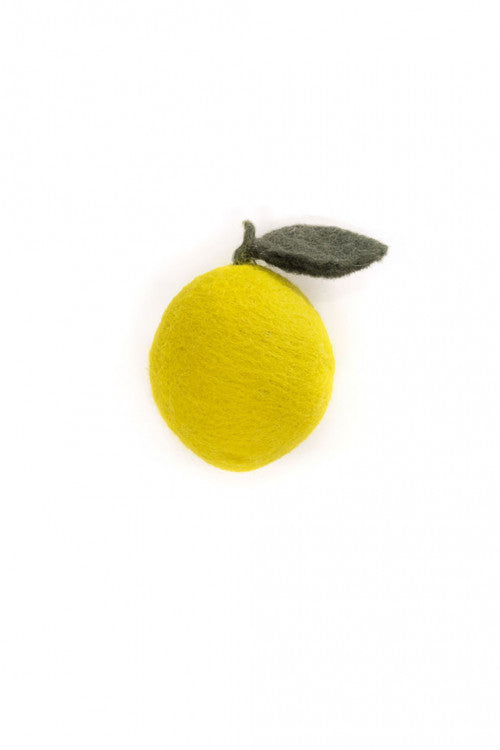 Felt Fruits & Vegetables