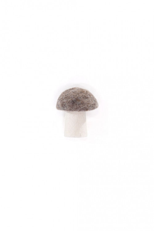Bolete Mushroom