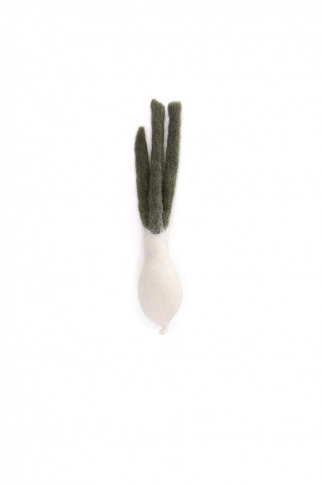 Felt Fruits & Vegetables