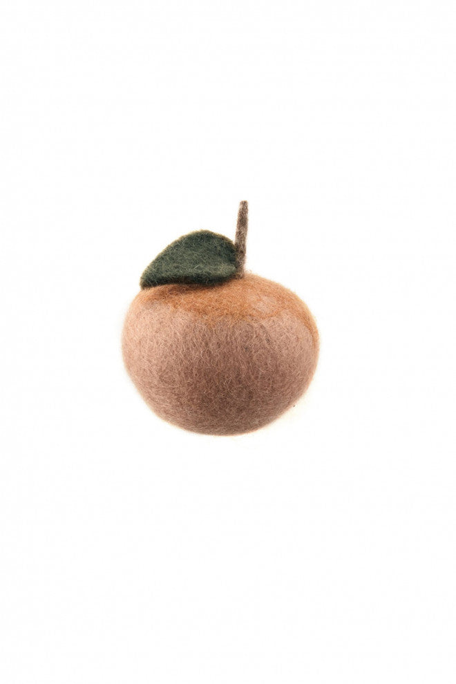 Felt Fruits & Vegetables