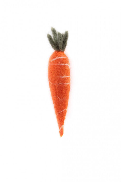 Felt Fruits & Vegetables