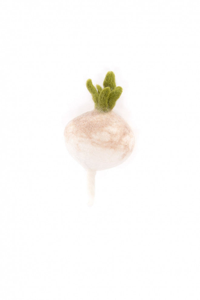 Felt Fruits & Vegetables