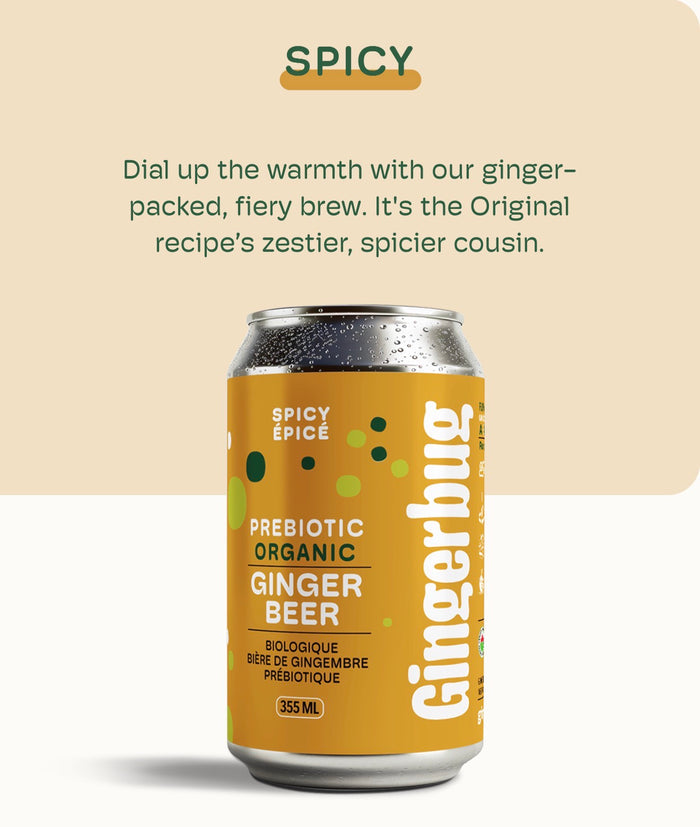 GINGERBUG PREBIOTIC ORGANIC GINGER BEER