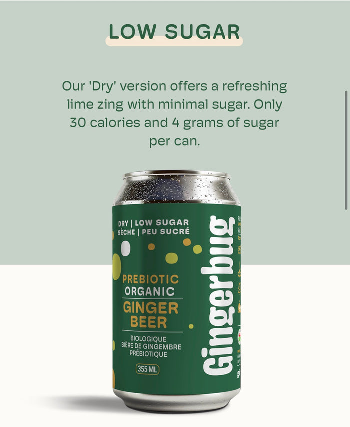 GINGERBUG PREBIOTIC ORGANIC GINGER BEER