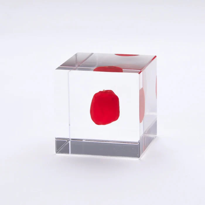 Huayruro Cube