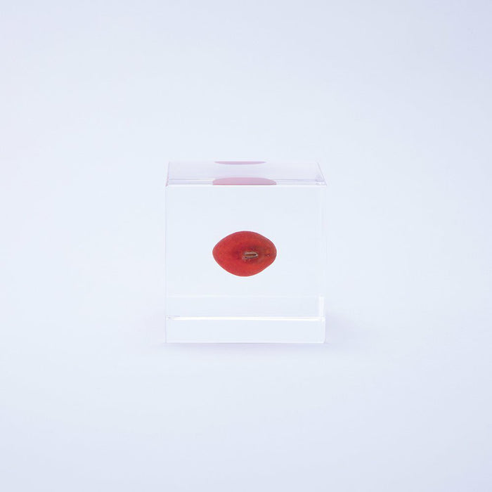Huayruro Cube