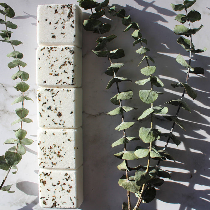HUDSON SOAP EUCALYPTUS | shower steamer