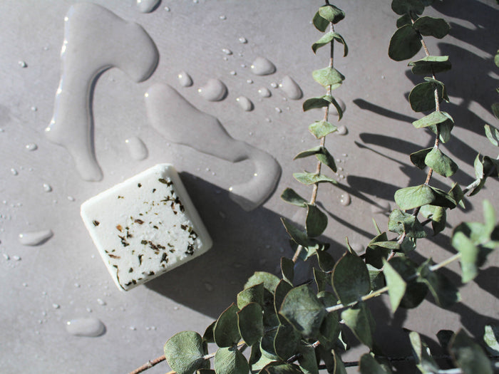 HUDSON SOAP EUCALYPTUS | shower steamer