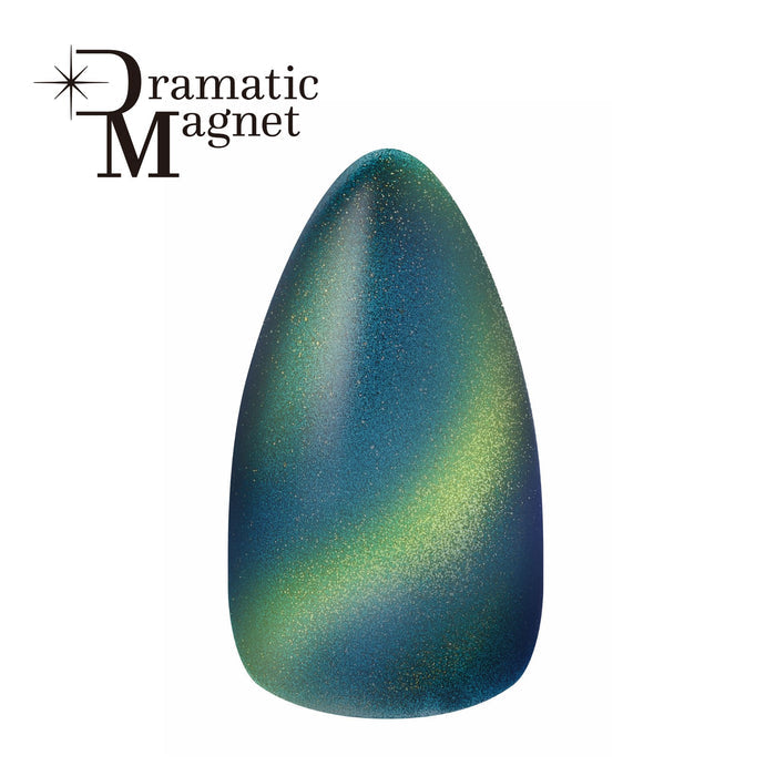 Kokoist Dramatic Magnet DR-14 Dramatic Lake Magnet Gel KOKOIST