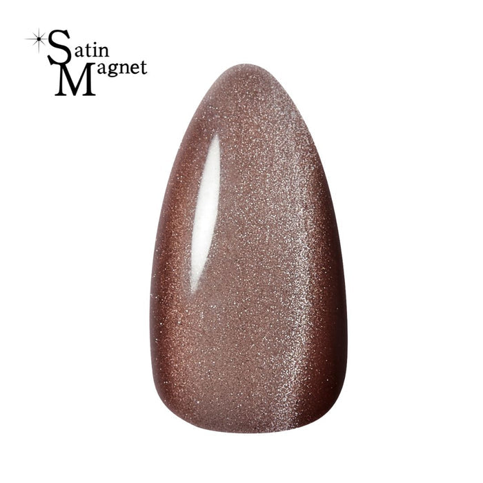 Kokoist Satin Magnet SM-21 Chocolate Satin Magnet Gel KOKOIST