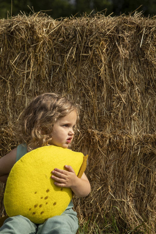 Lemon Cushion