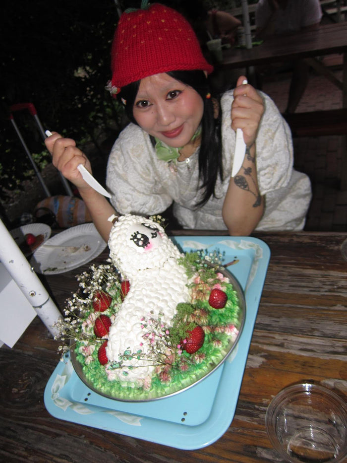 Nibbline: Cake Decorating Workshop (JUNE 27) - ACCESS