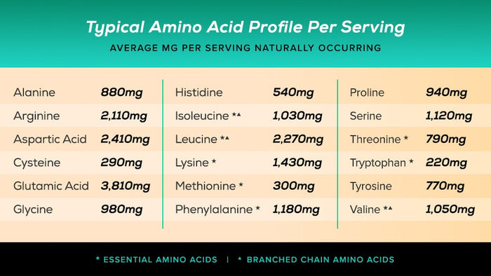 Onnit Plant-Based Protein Powder 2