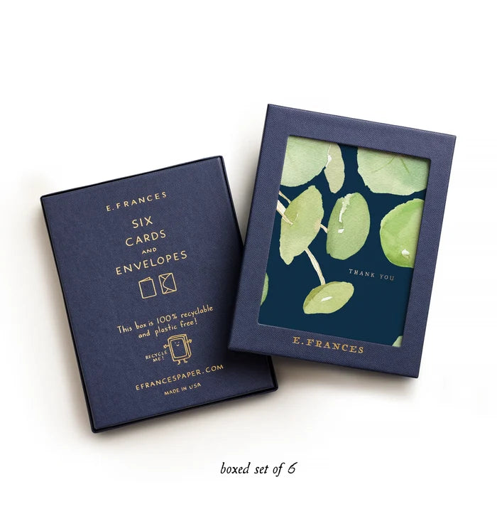 Pancake Plant Thank You - Box Set/6