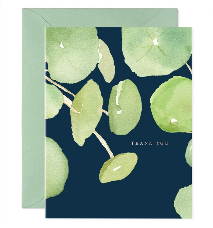 Pancake Plant Thank You - Box Set/6