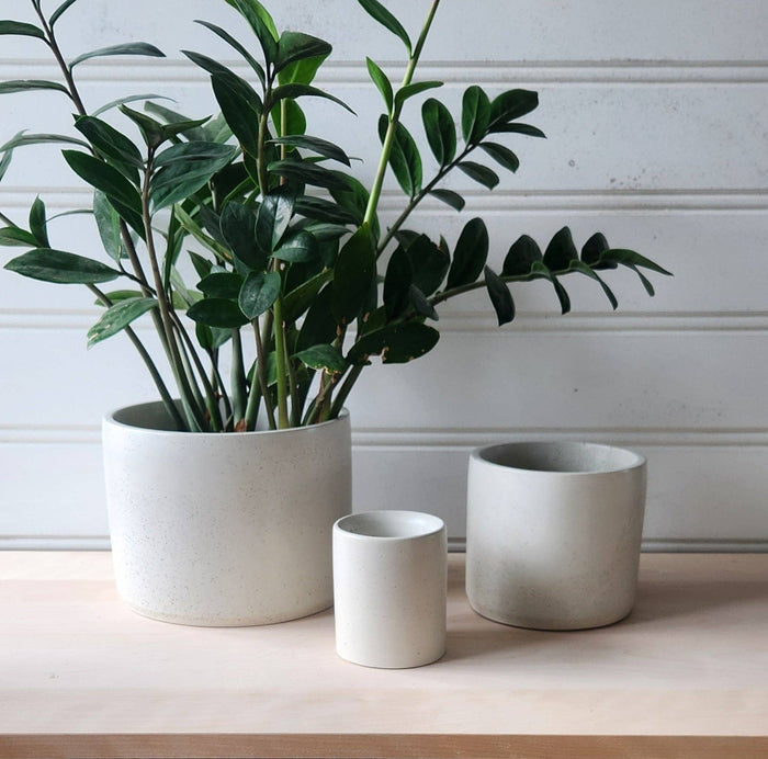PLANT ‘ER HERE Cylinder Planter- 3" 5" 7" Blush
