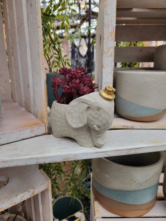 PLANT ‘ER HERE Edward The Elephant