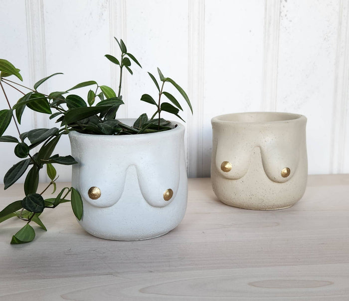 PLANT ‘ER HERE Golden Boob Pot