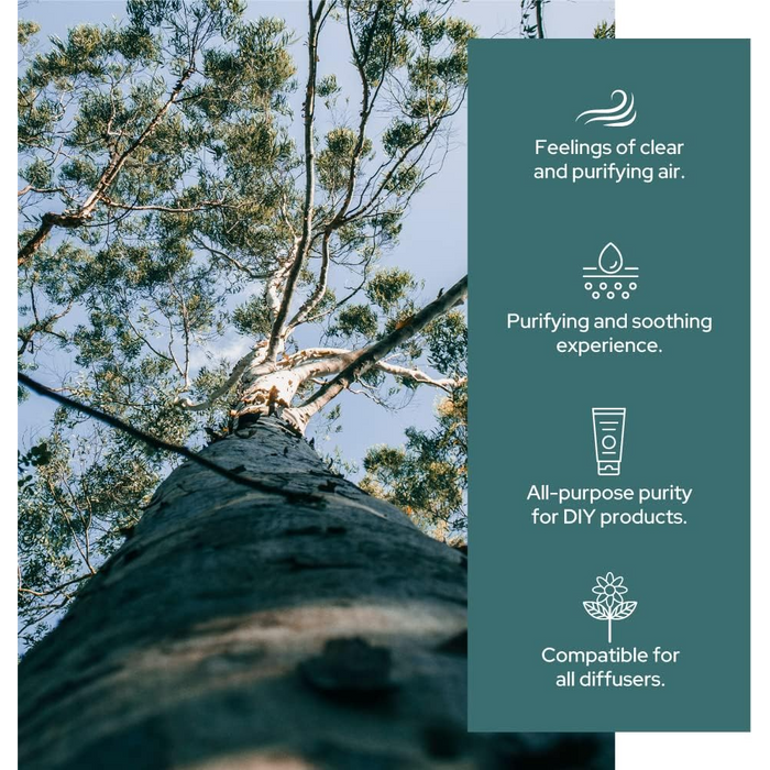 Plant of Life Eucalyptus Essential Oil | Therapeutic Grade | Multi Sizes