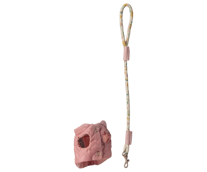 Puppy harness and leash, Small - Rose