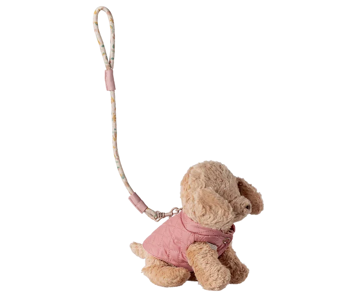 Puppy harness and leash, Small - Rose