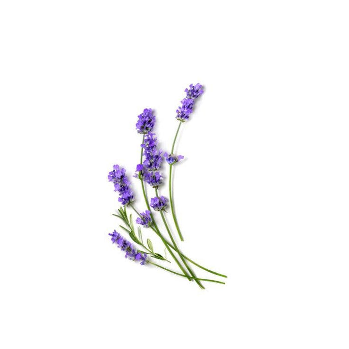 REBELS Lavender x Eucalyptus Pocket Hand Sanitizer