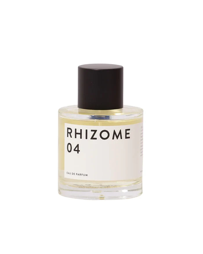 Rhizome 04