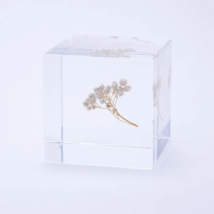 Rice Flower