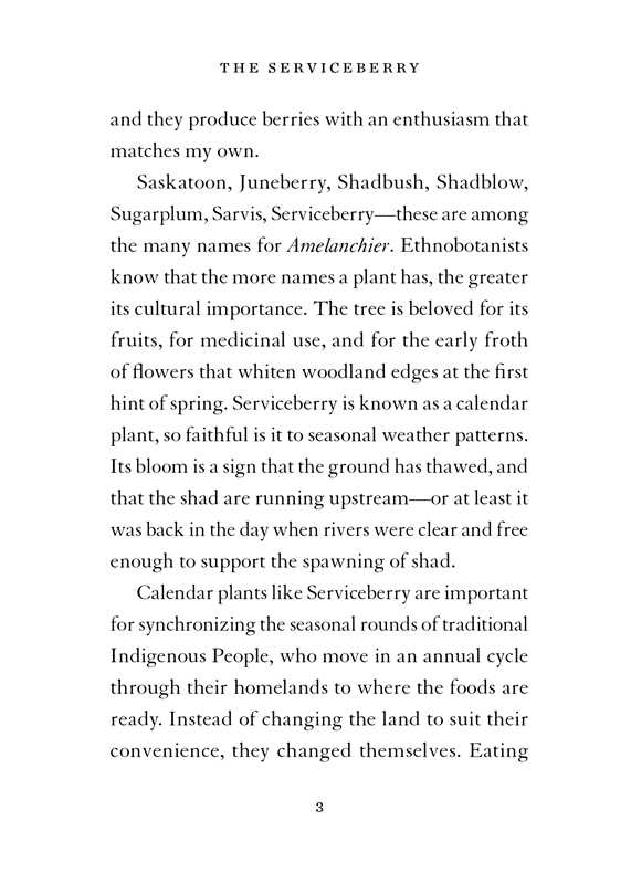 Serviceberry by Robin Wall Kimmerer