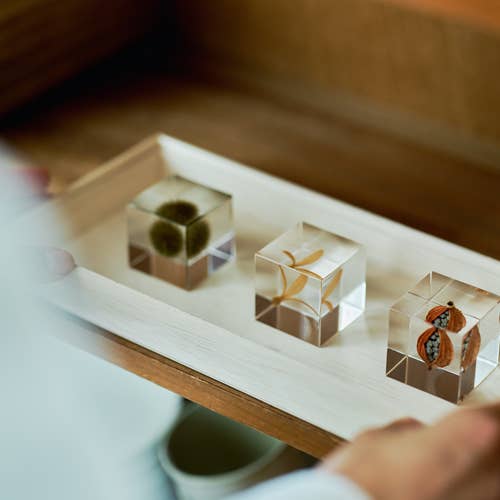 Shell Ginger Cube